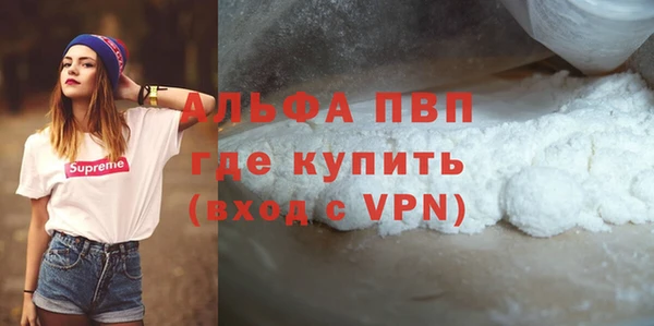 крисы Бородино