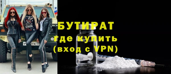 крисы Бородино