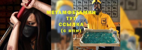 крисы Бородино