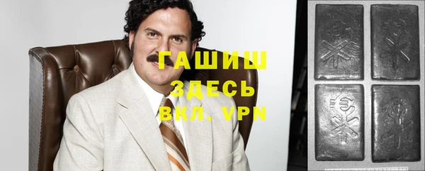 крисы Бородино
