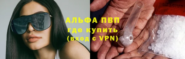 крисы Бородино