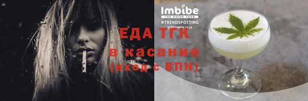 крисы Бородино