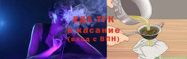 крисы Бородино