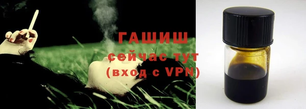 крисы Бородино