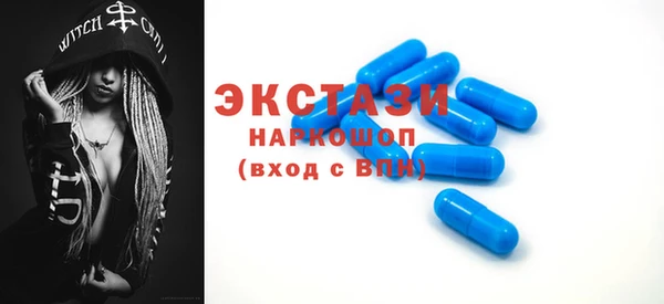 крисы Бородино
