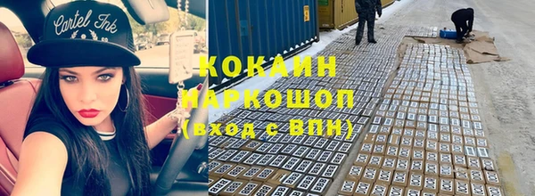 крисы Бородино