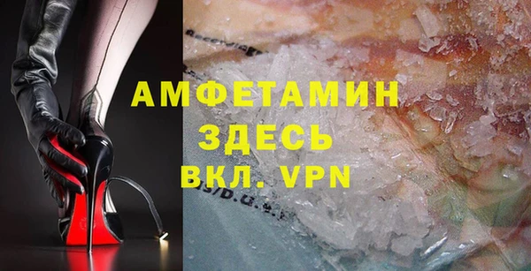 крисы Бородино