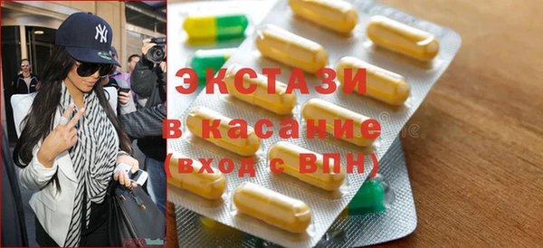 крисы Бородино