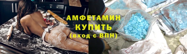 крисы Бородино